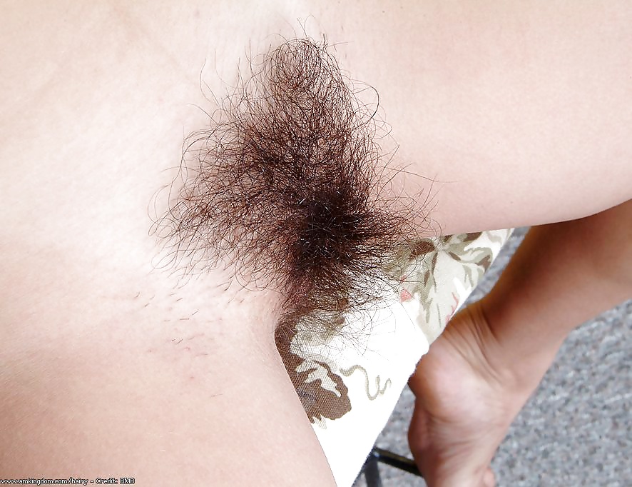 Porn image Hairy Pussy Mix 1