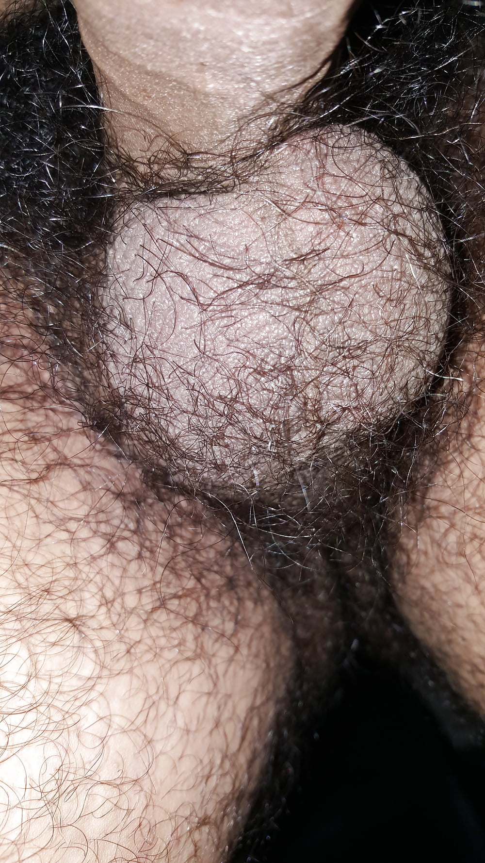 Wanna lick these hairy balls? 