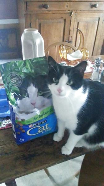 Porn image Girls and Diverses 87