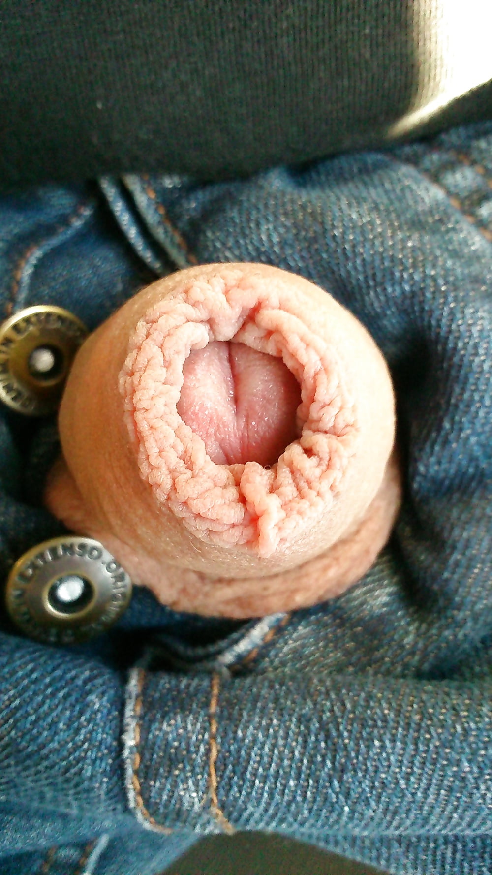 Porn image My Uncut foreskin. Ma bite au repos, prepuce.