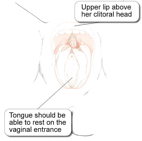 Porn image Instuctions for perfect pussy lick