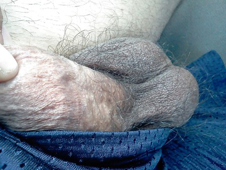 fat cock and hairy balls