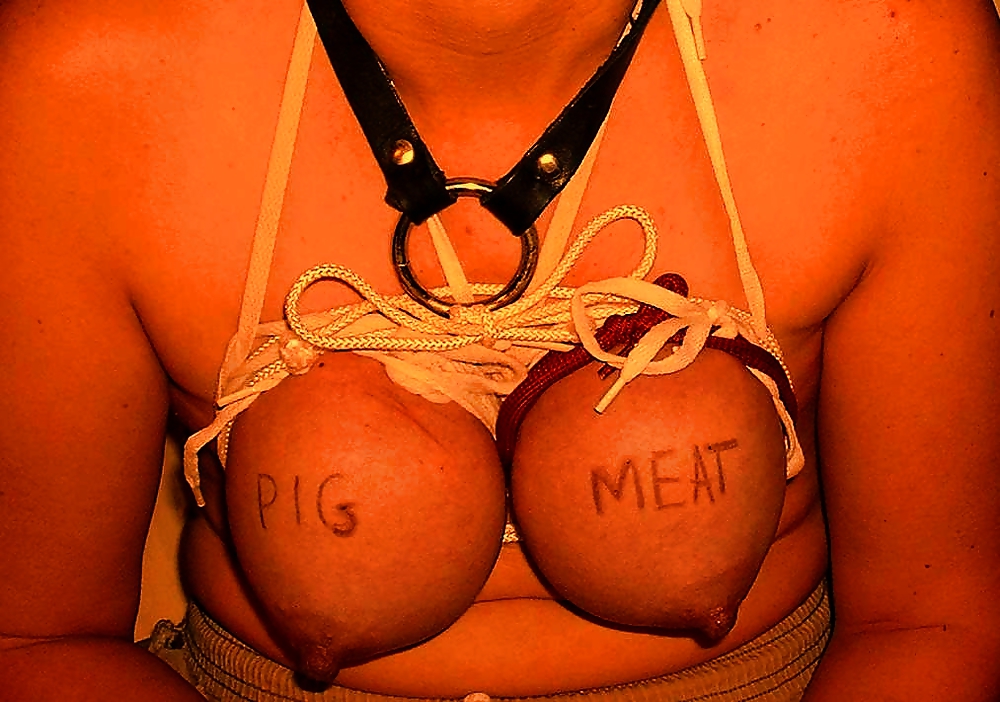 Porn image Using the young fuckpig hard