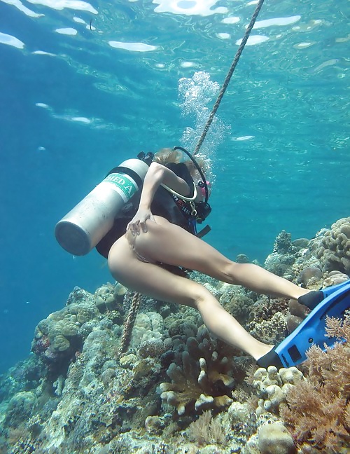 More related hot nude girls scuba diving.