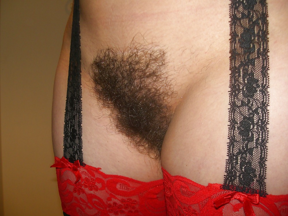 Porn image Beautiful hairy pussy