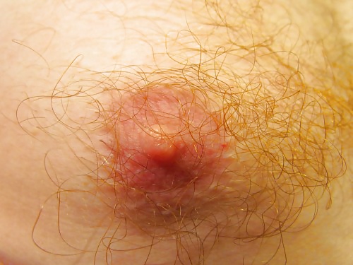 Porn image jjmontana close up shots of ginger body hair