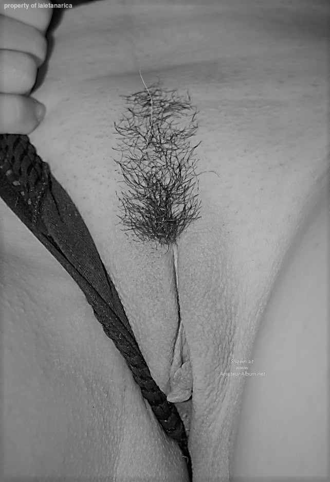 Porn image Pussy