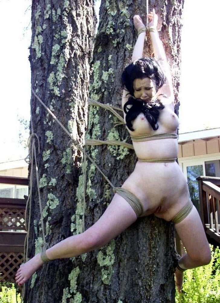 Tree Hugger Porn