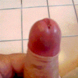 My Cock an Cumshots Gif-gallery  #4
