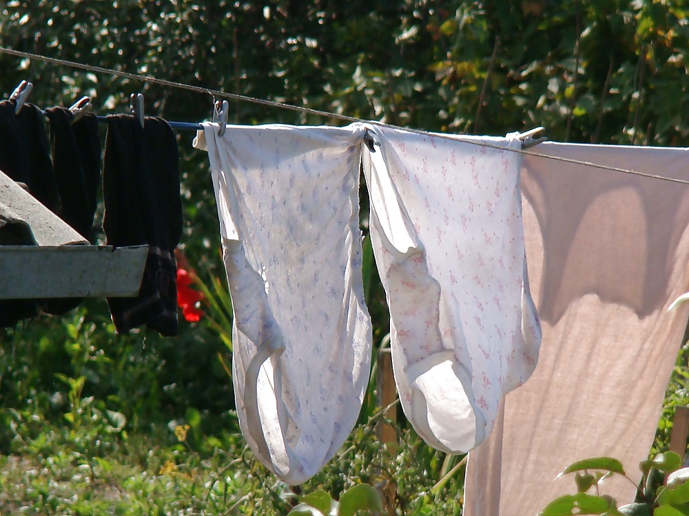 Porn image Knickers and panties on a clothesline! Amateur!