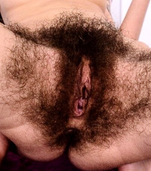 Very Hairy Bush 7 8 Pics XHamster