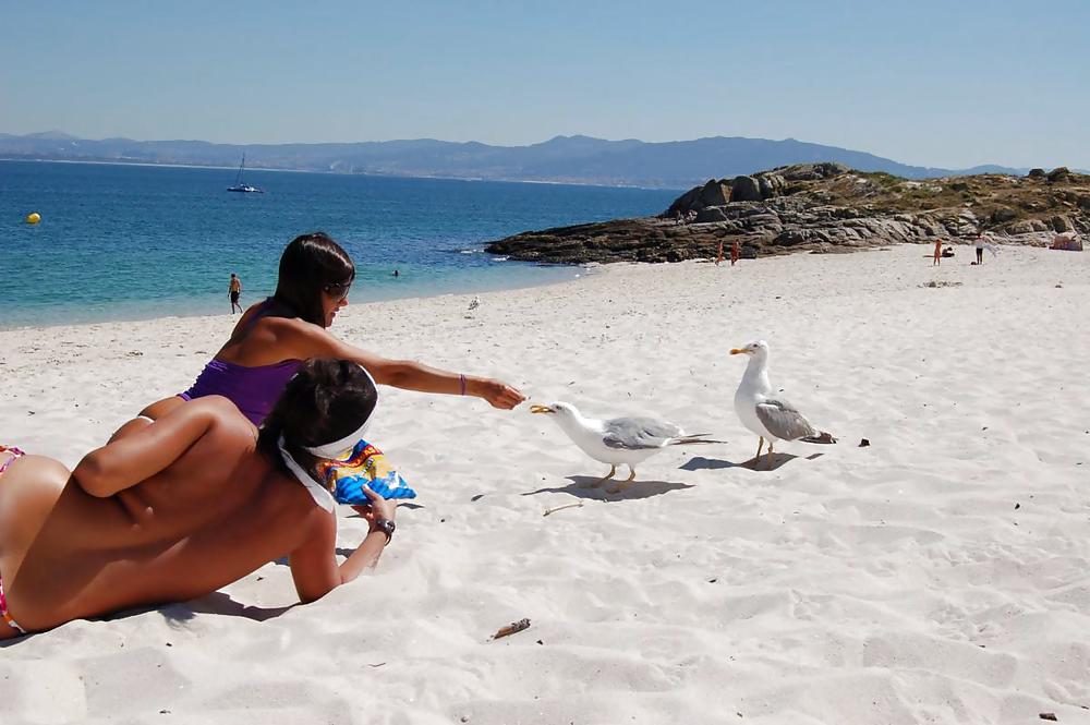 Porn image Teens at the beach