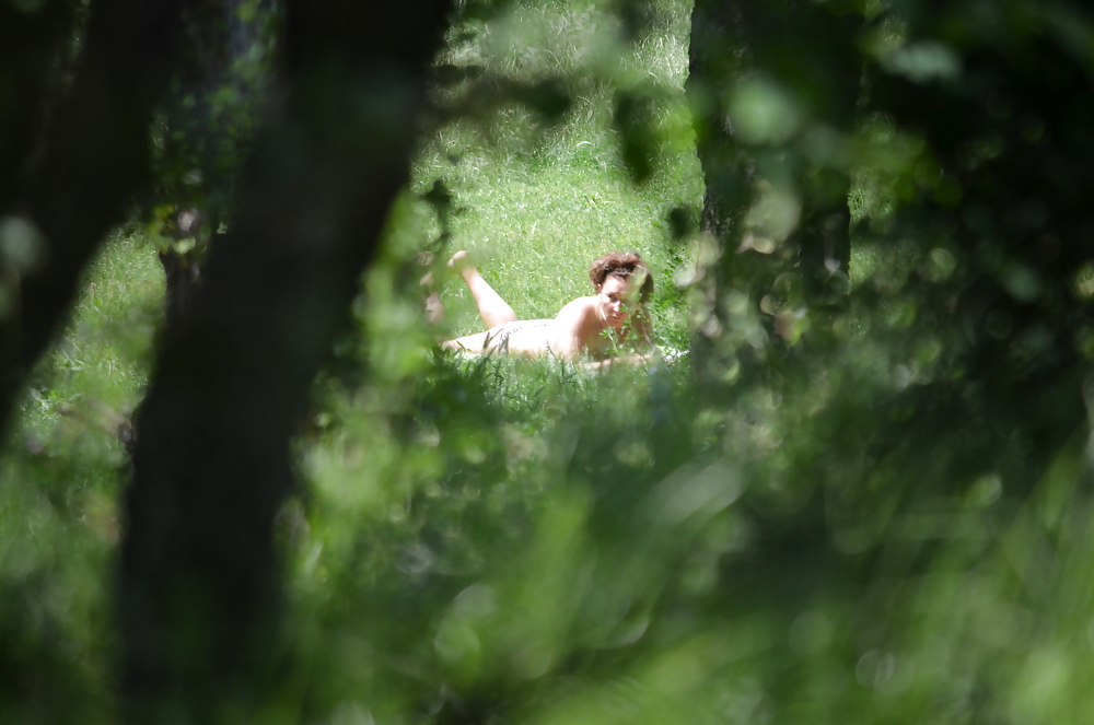 Porn image Sunbathing in the park