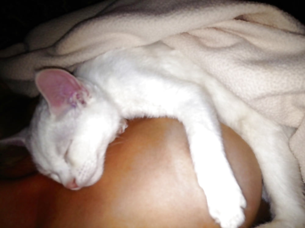 Porn image Handpicked Amateurs 242