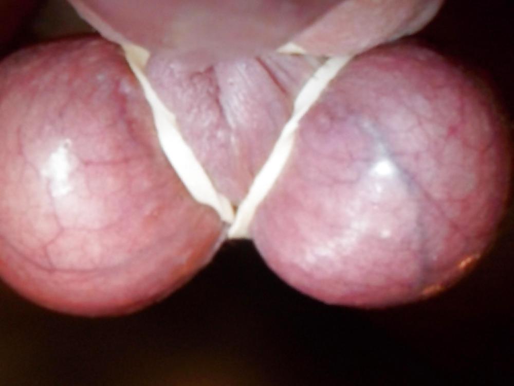 Porn image BALLS COCK CUM