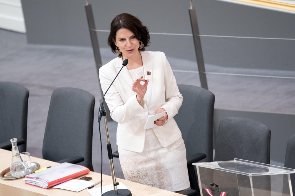 Austrian Politician Karoline Edtstadler - 133 Photos 