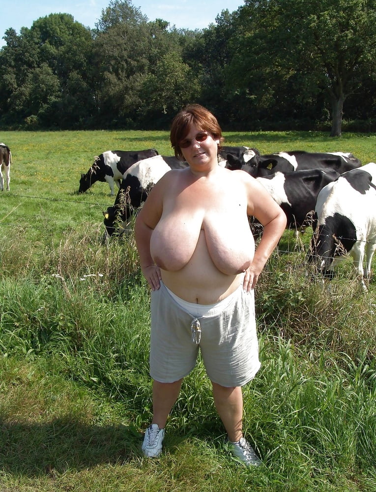 See and Save As fat cows with big udders bbws with udderly ridiculous boobs  porn pict - 4crot.com