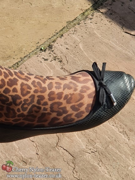 Ho Ho Ho - Leopard Legs - 32 Photos 