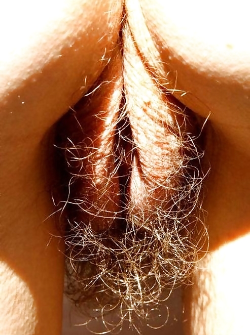 Porn image Anyone for some hairy pussy??