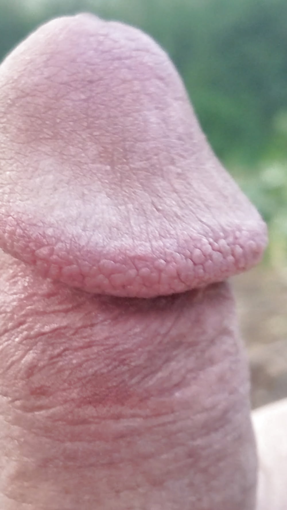 Porn image In public