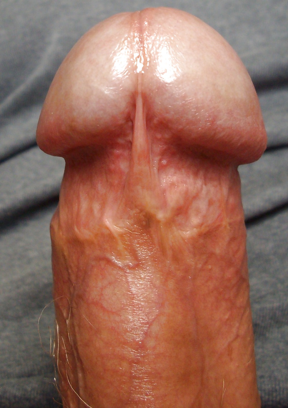 Porn image FRANK'S HUGE COCK: Detail of Head