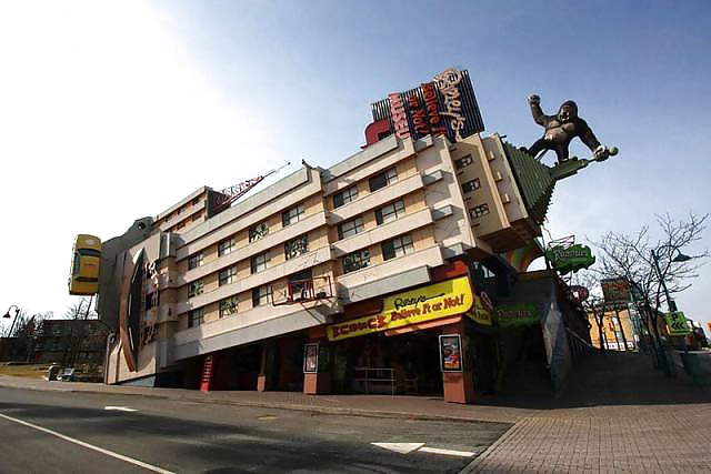 Porn image Girls and Diverses 35